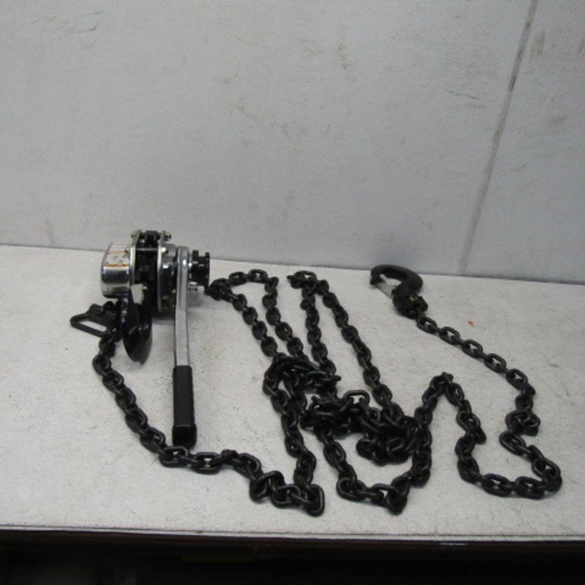 Dayton 3TP99 Hoist, Chain 3T, 20Ft Lift, Rated 75lbs | eBay