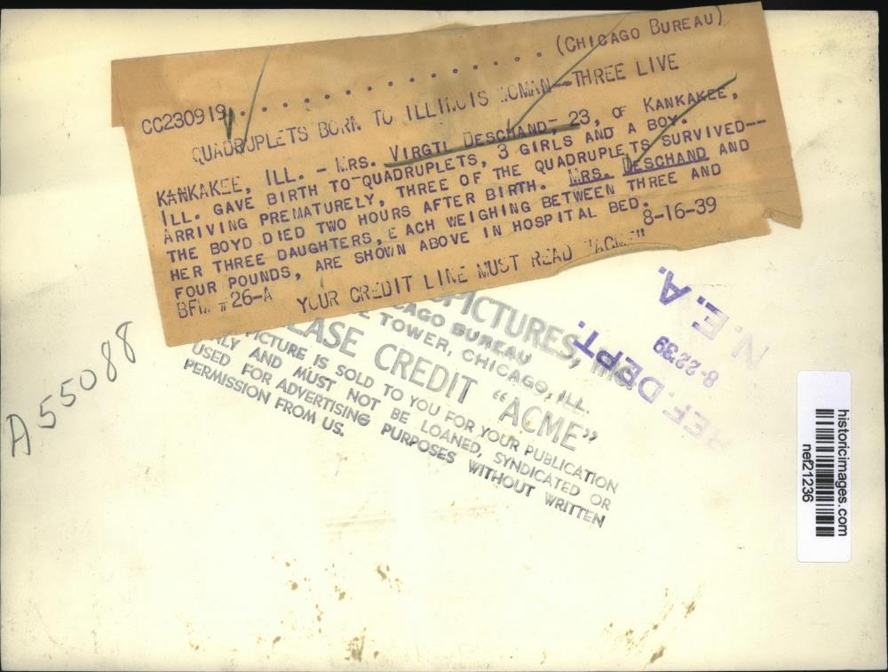 Image2