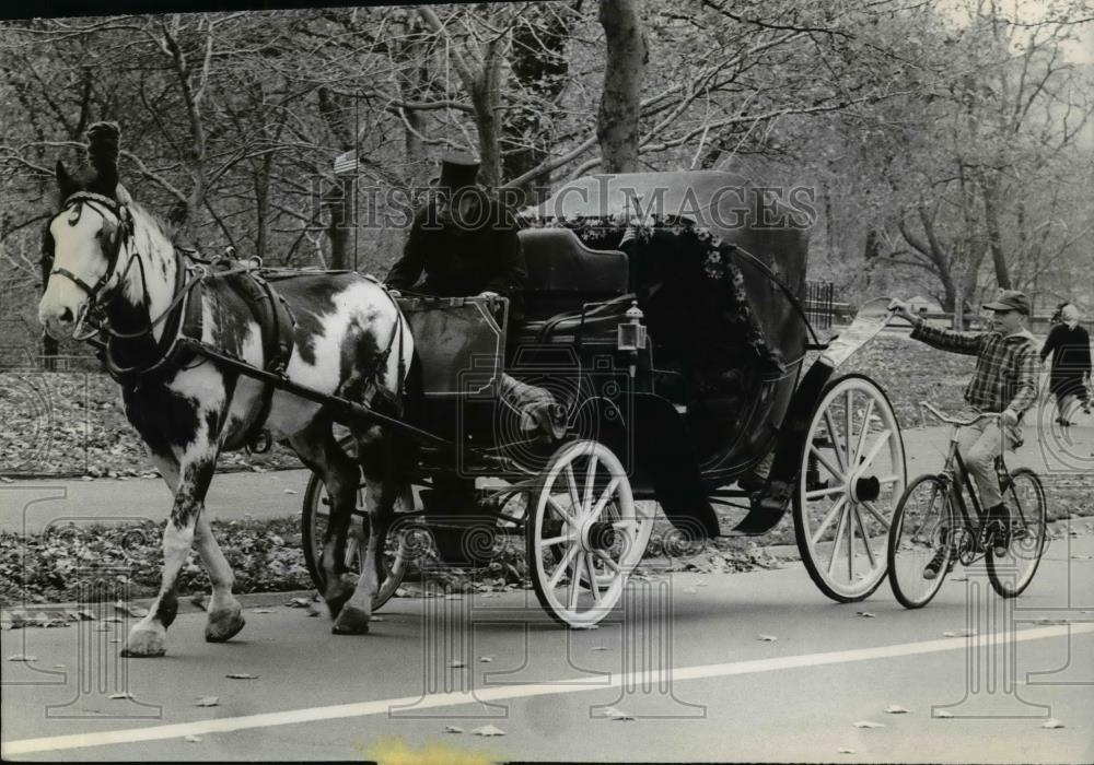 1966 Press Photo Hansom Cab & Boy on bicycle, Central Park