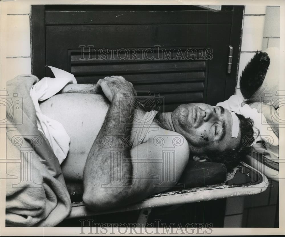 Image1