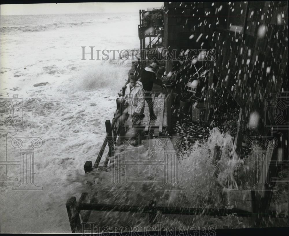 Image1