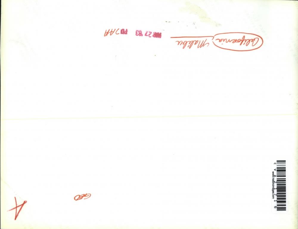 Image2