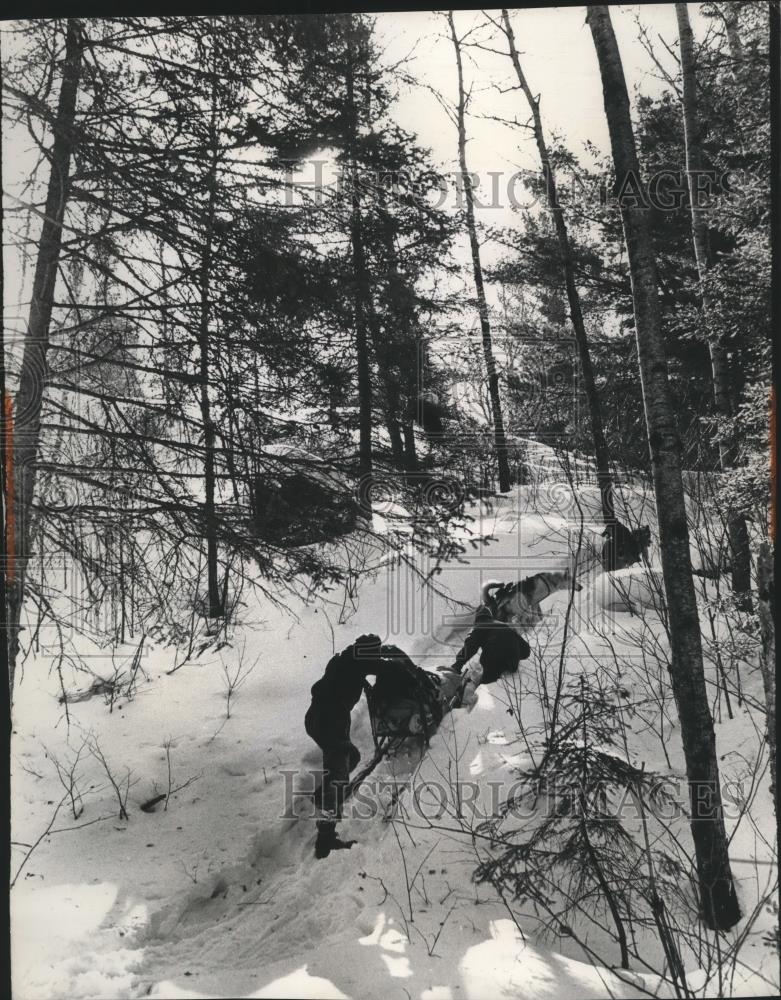 Image1
