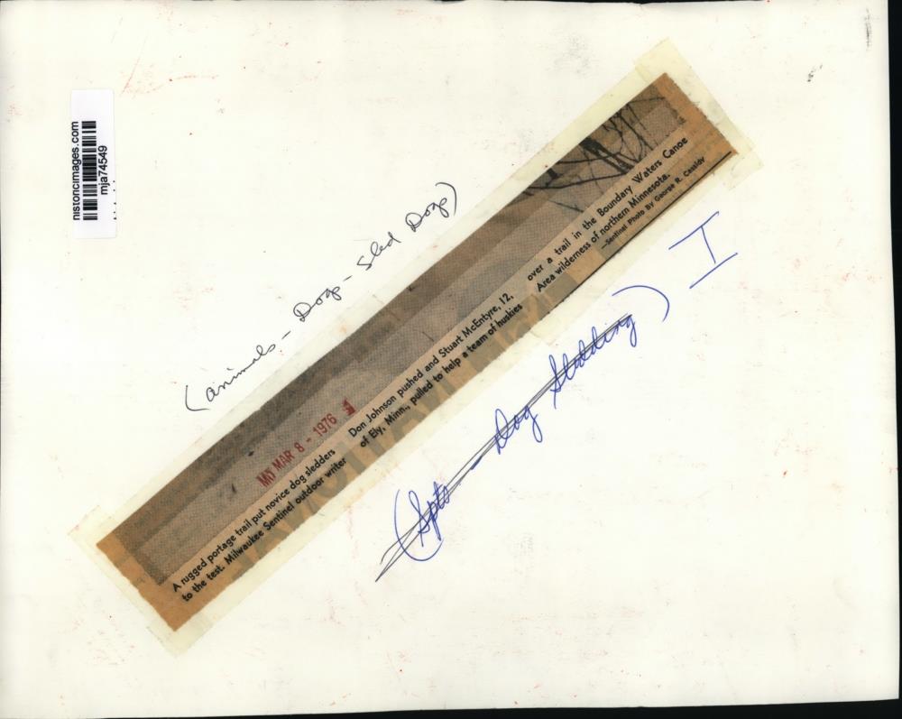 Image2