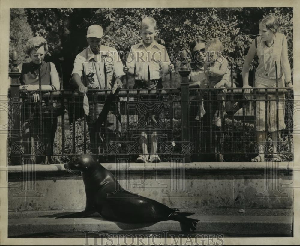 Image1