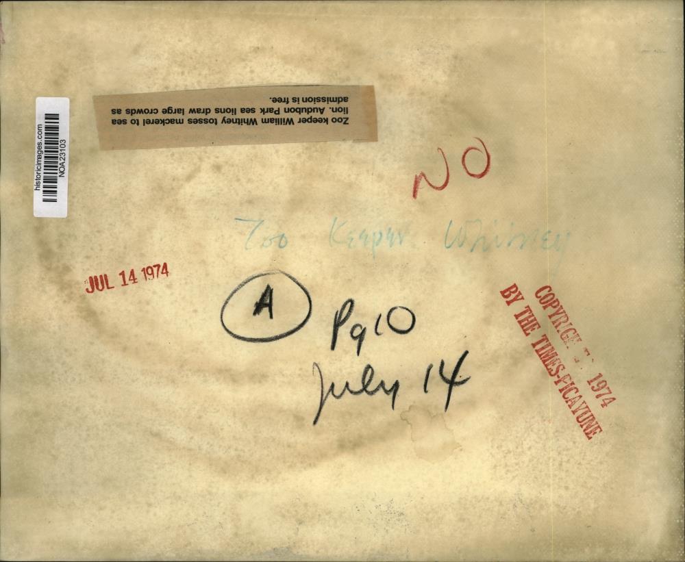 Image2