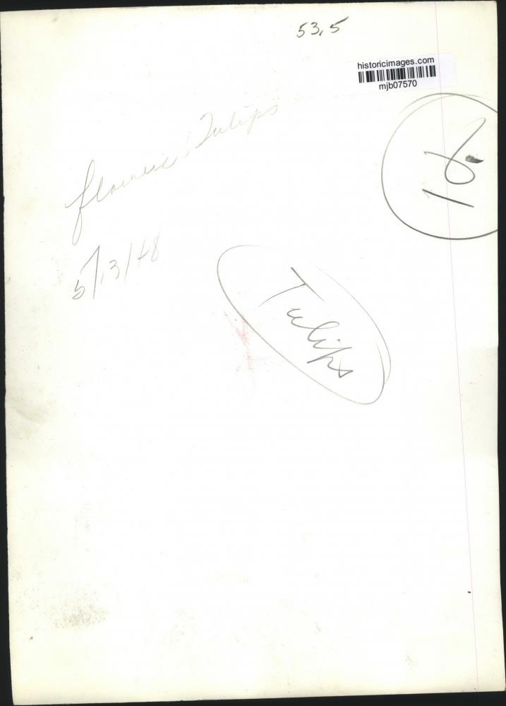 Image2