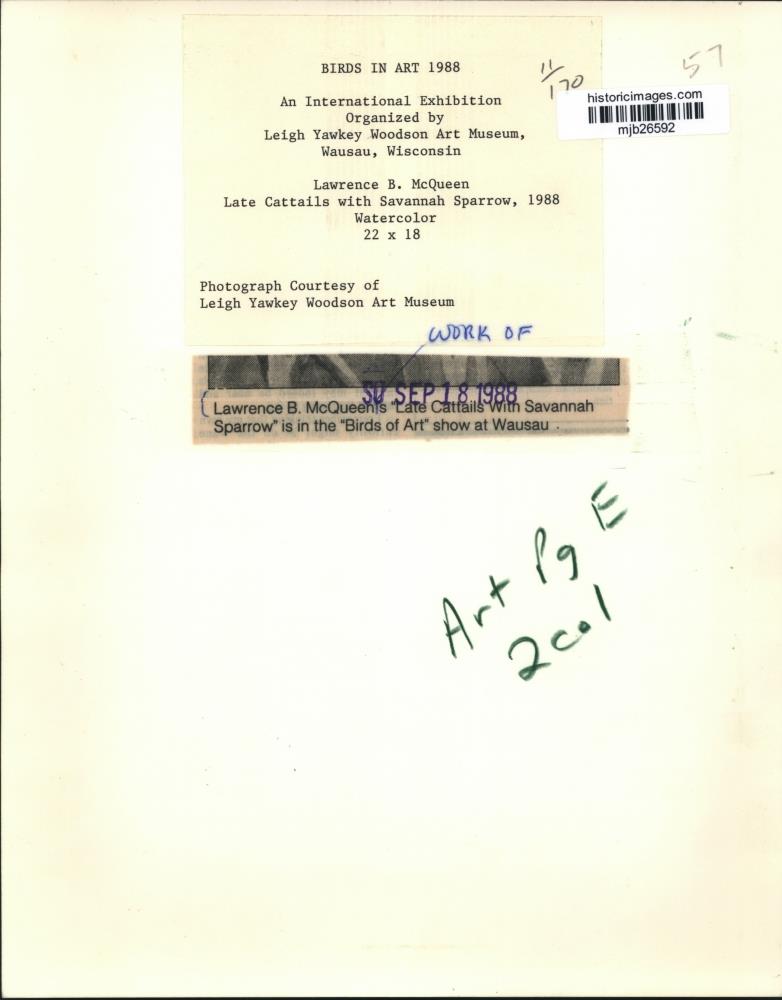 Image2