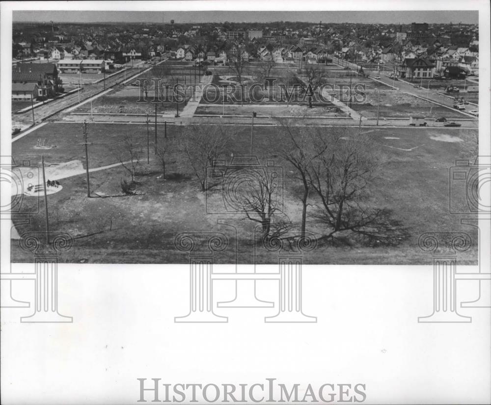 Image1