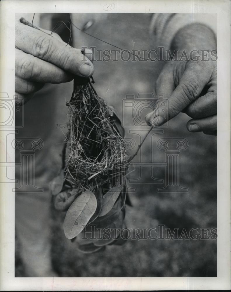 Image1