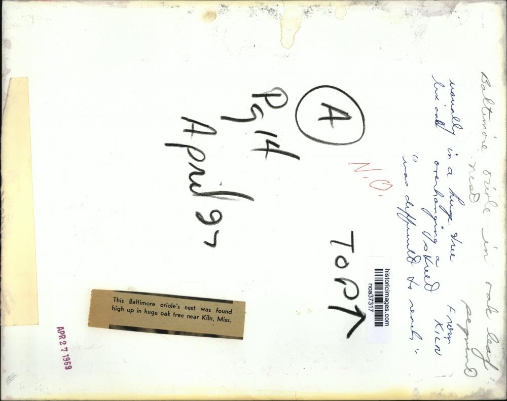 Image2
