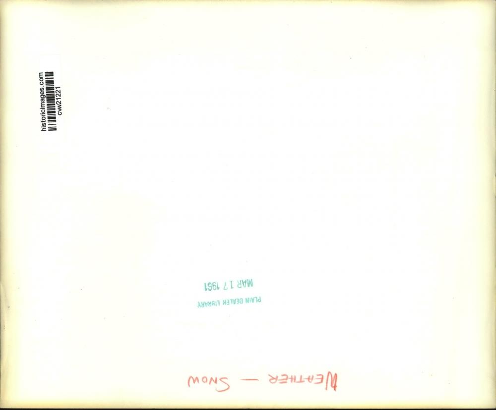 Image2