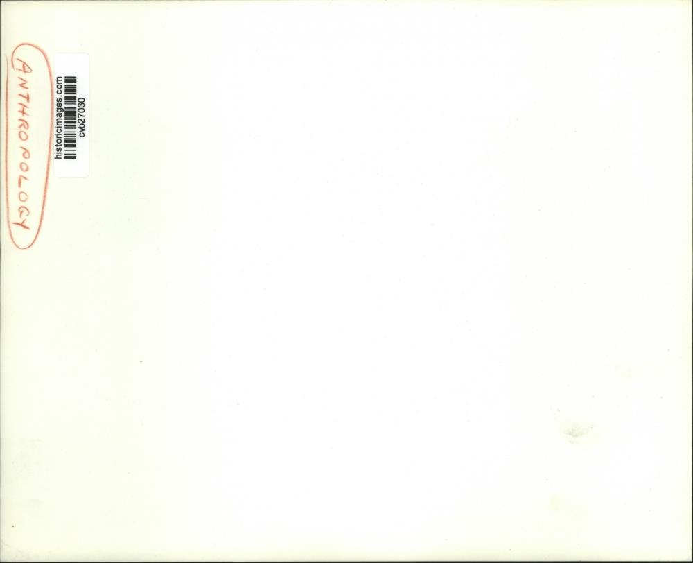 Image2