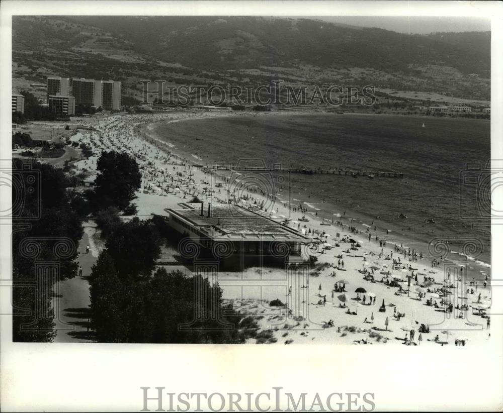 Image1