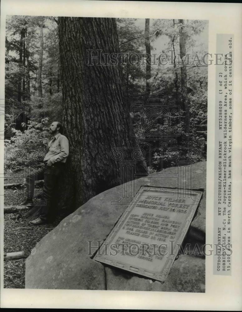 Image1