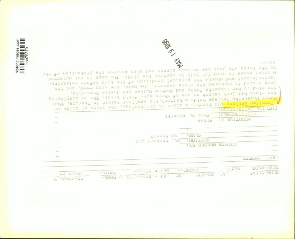 Image2