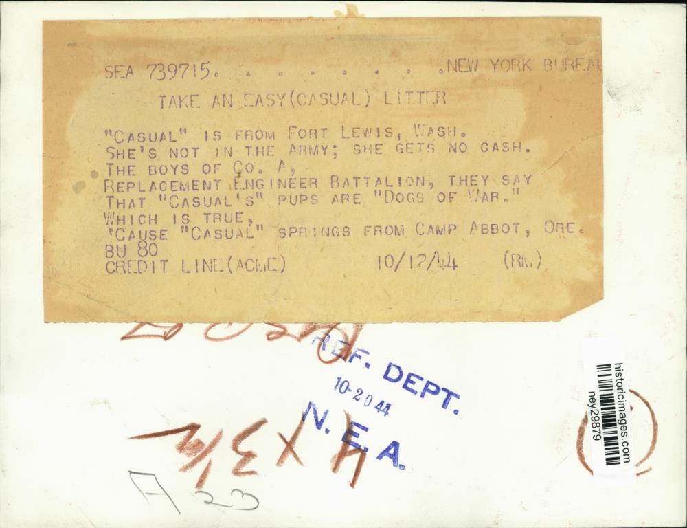Image2