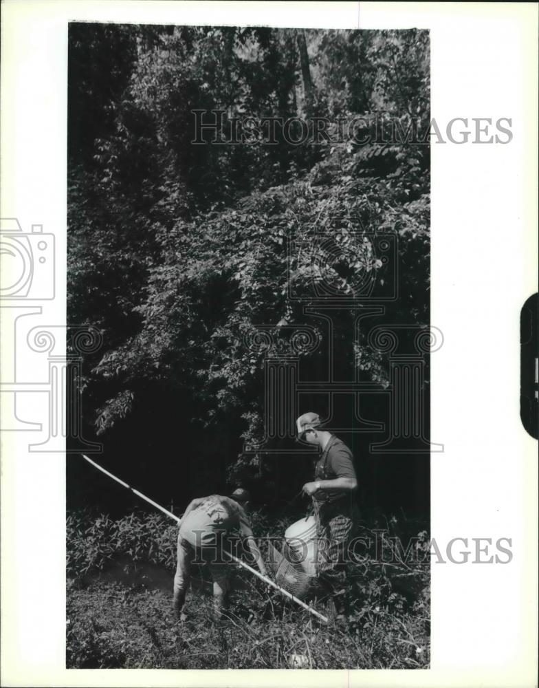 Image1