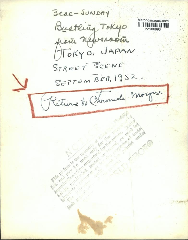 『LOCATION JAPAN』2015年8月号 芝山町公共交通マップ Map by Buyodo corp. | Avenza Maps