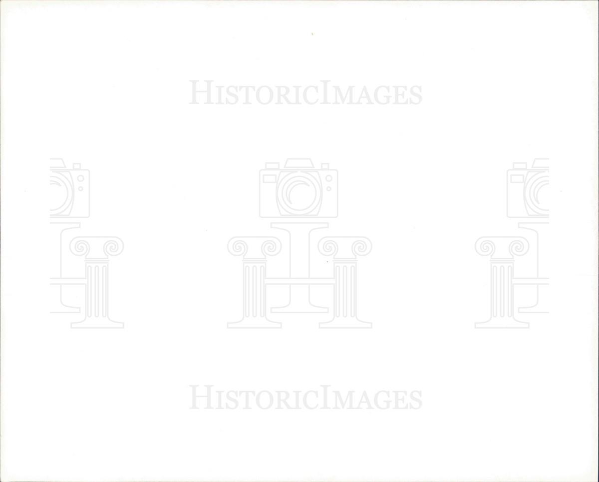 Image2