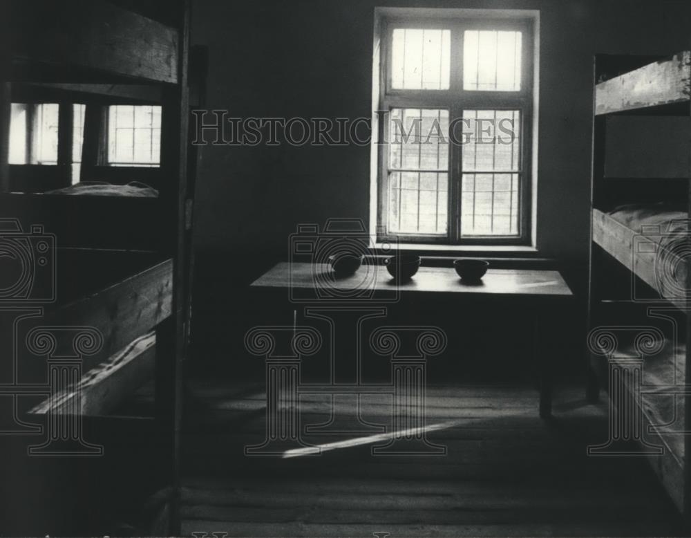 Image1