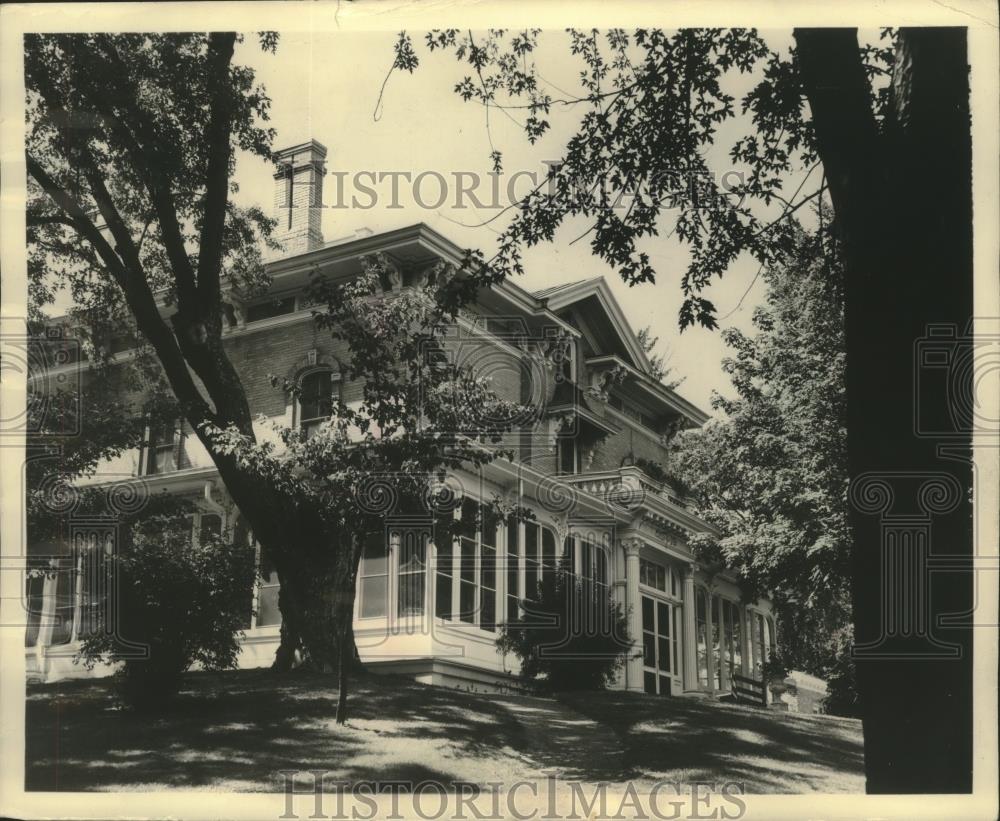 Image1