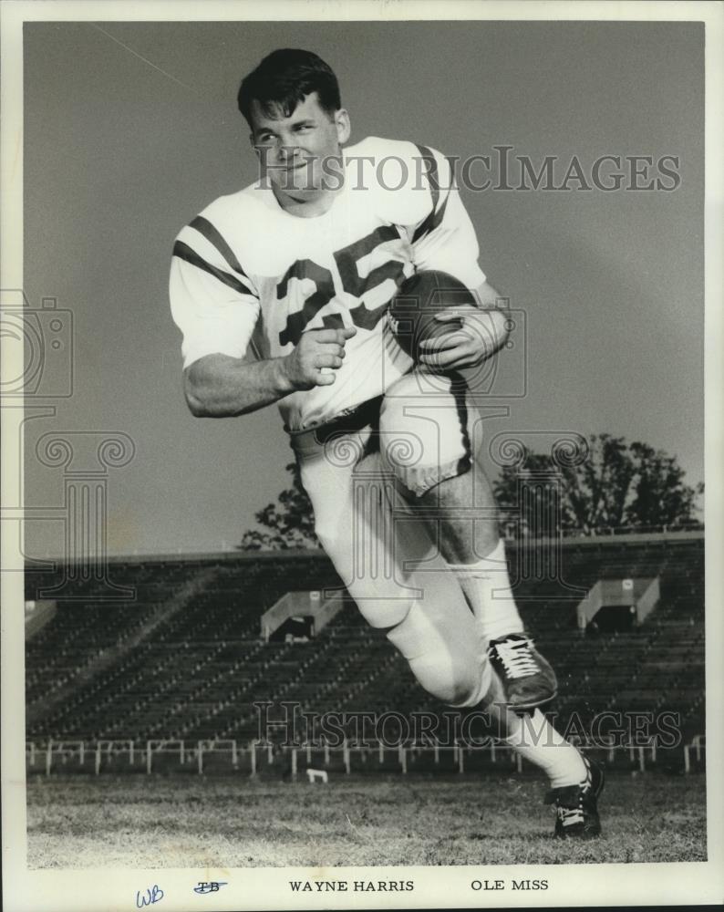 Image1