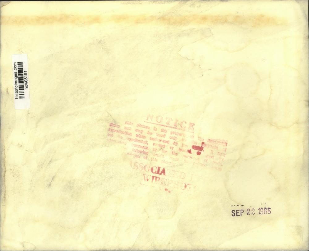 Image2