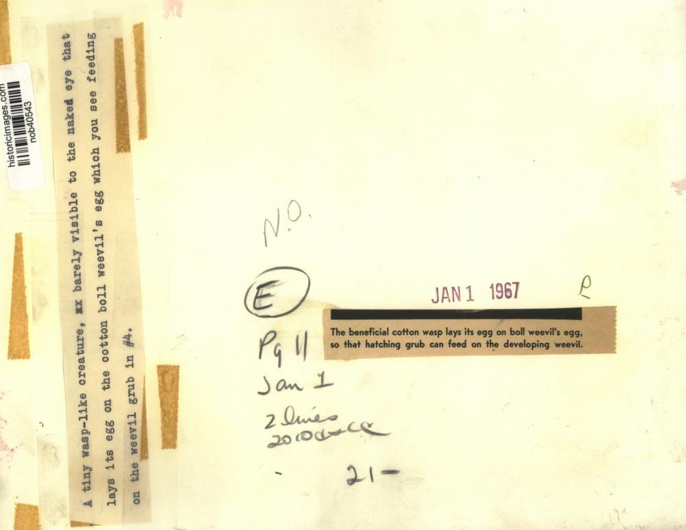 Image2