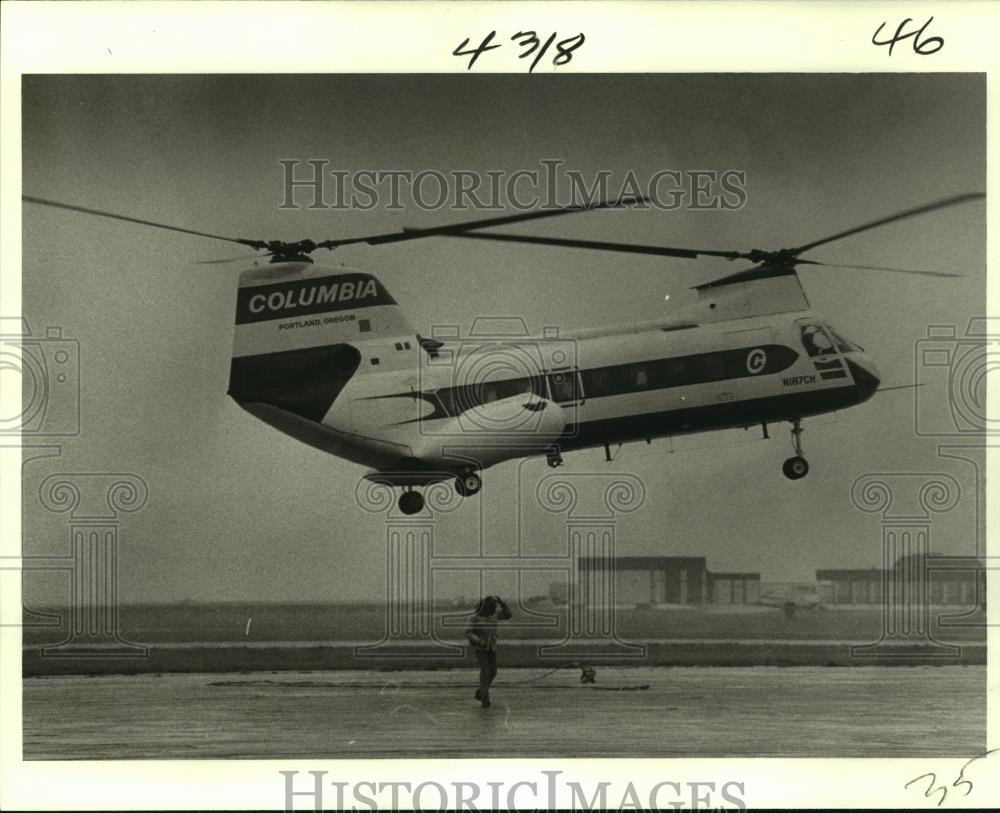 Image1