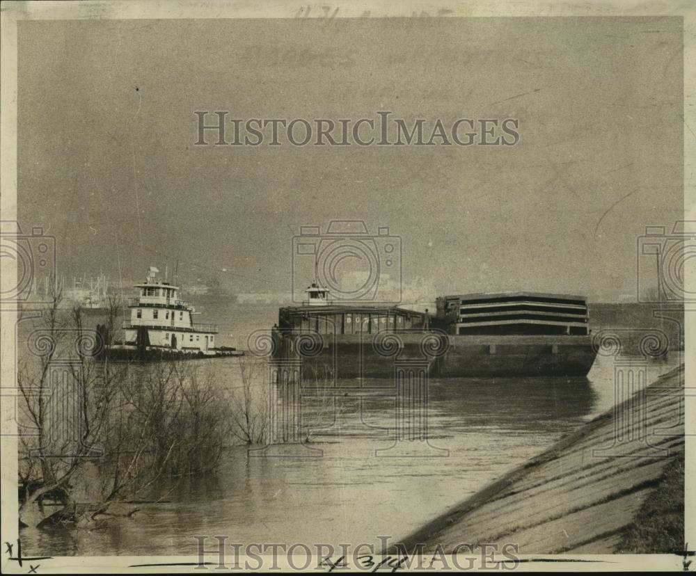 Image1