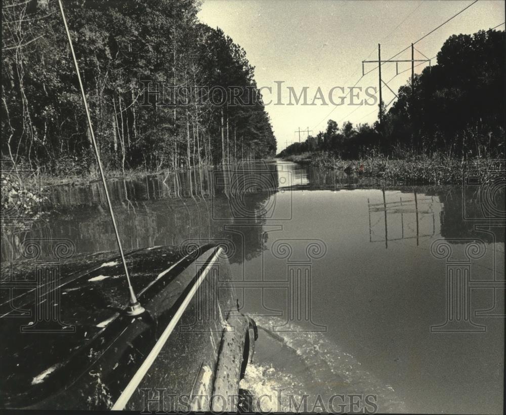 1990 Press Photo South CarolinaBostick Plantation country roads