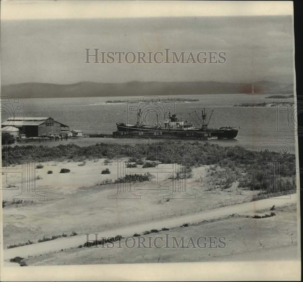 Image1