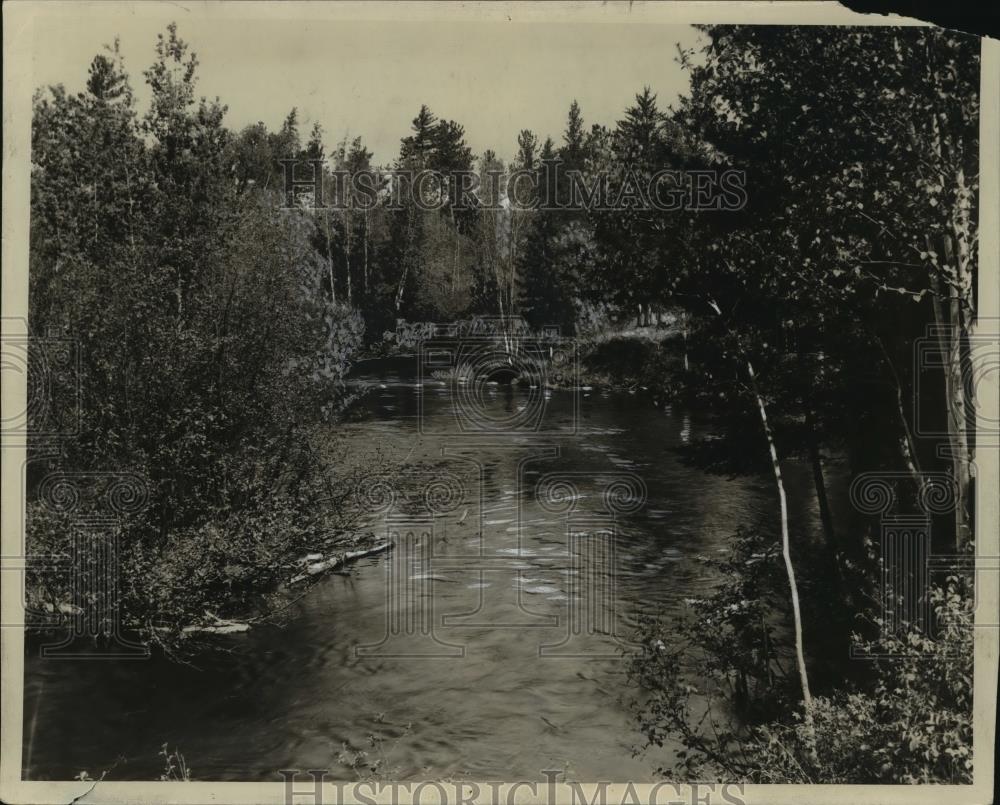 Image1