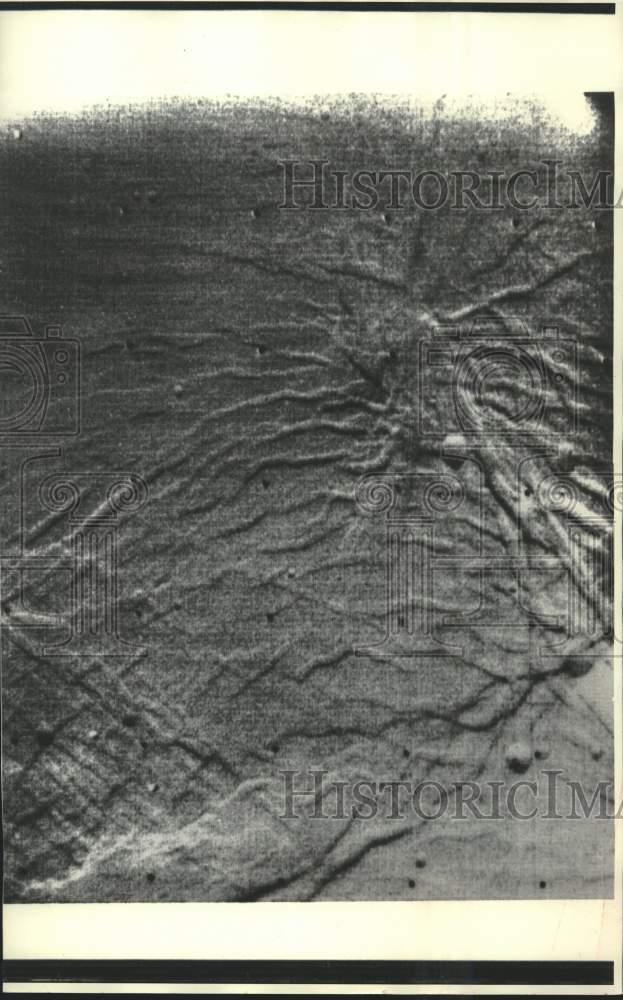 Image1