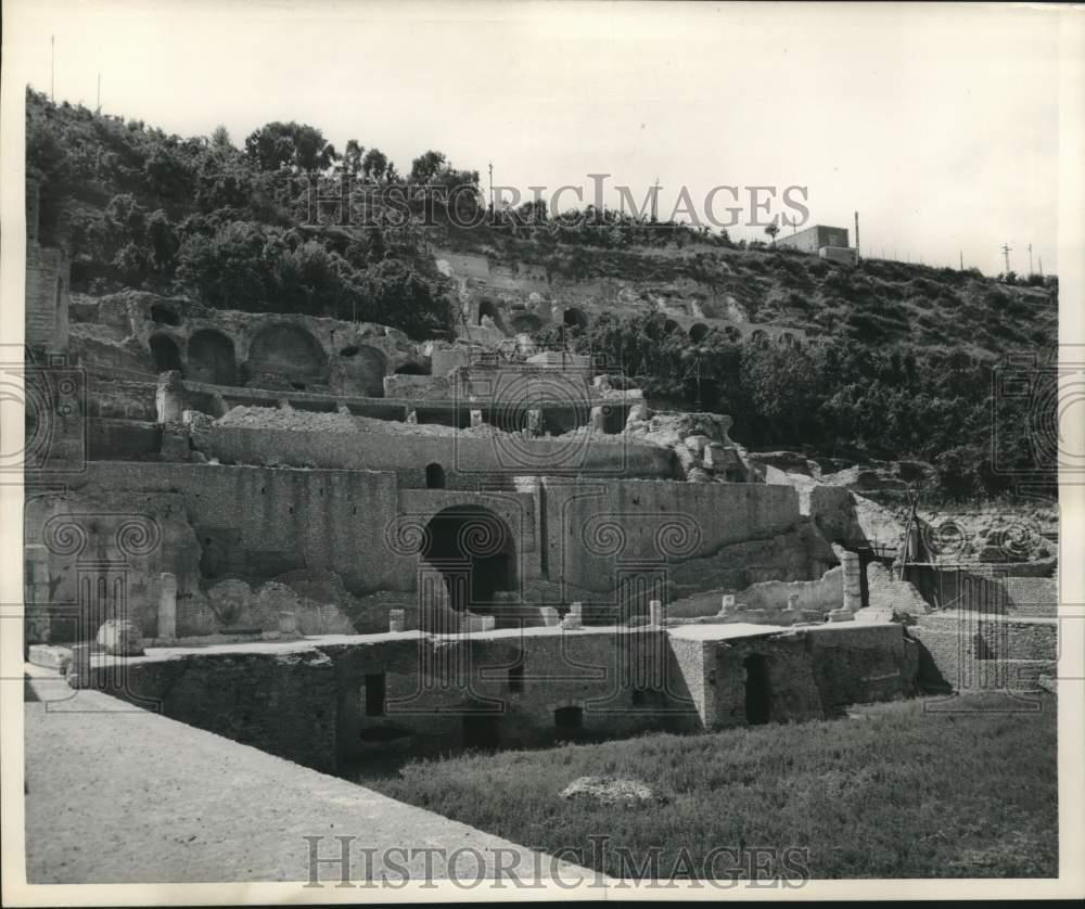 Image1