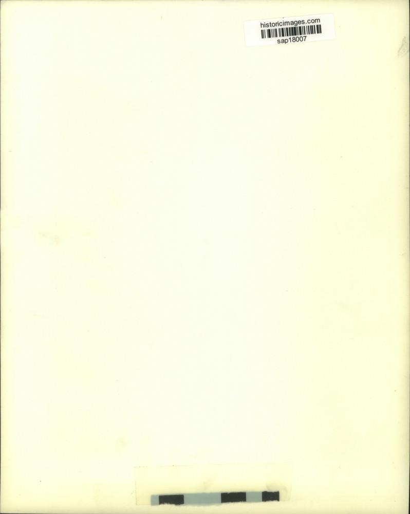 Image2