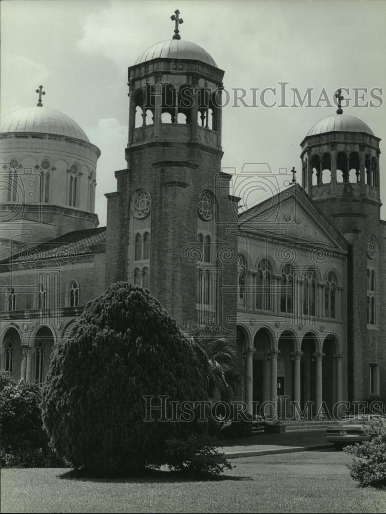 Image1
