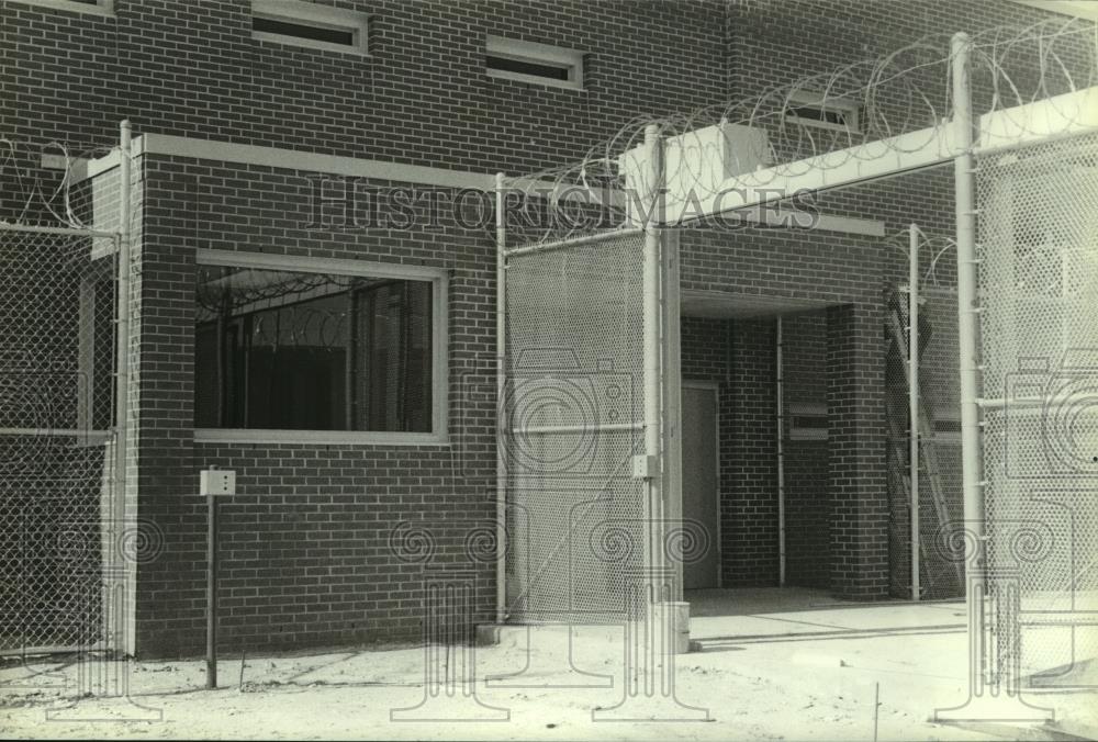 Image1