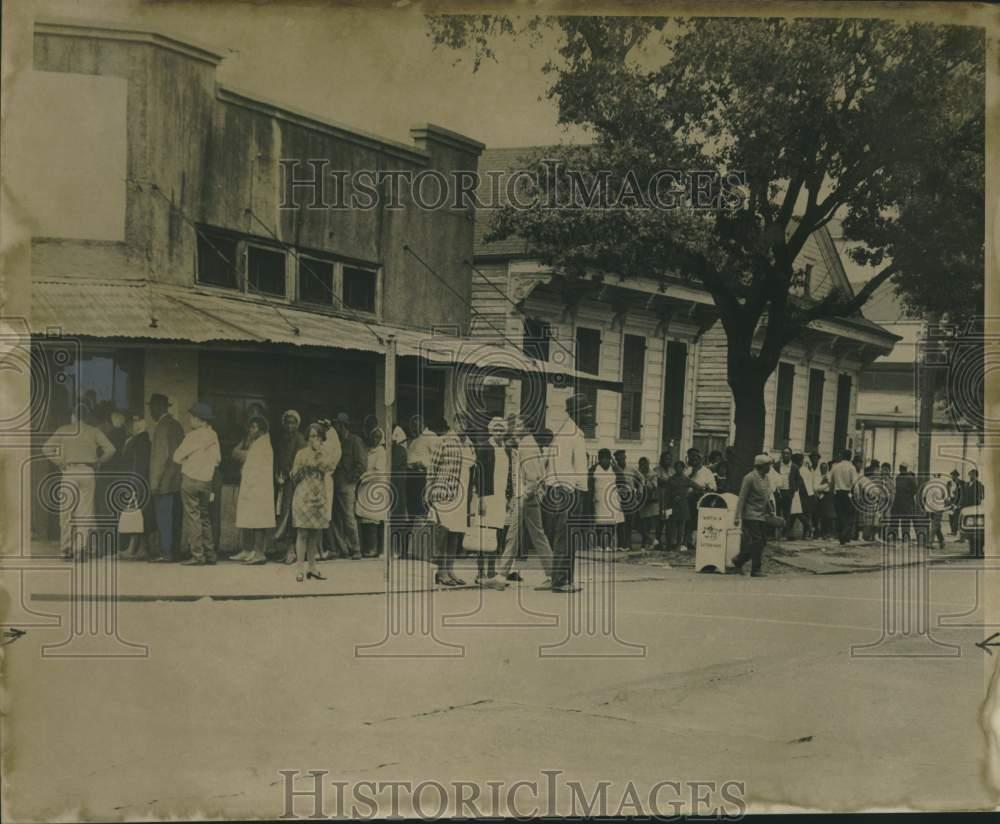 Image1