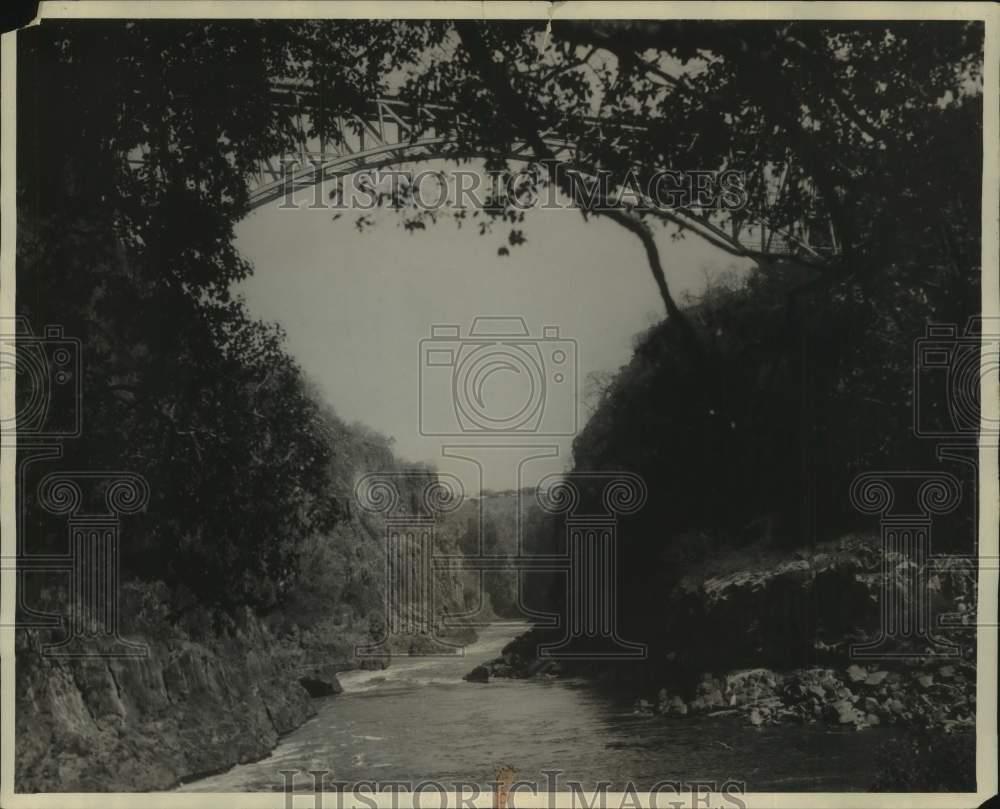 Image1