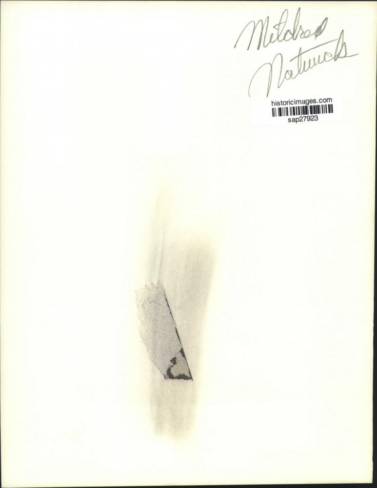 Image2