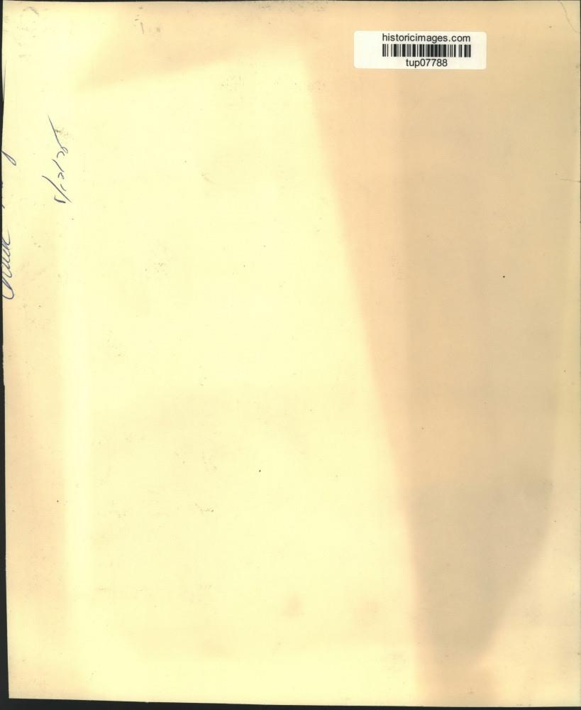 Image2