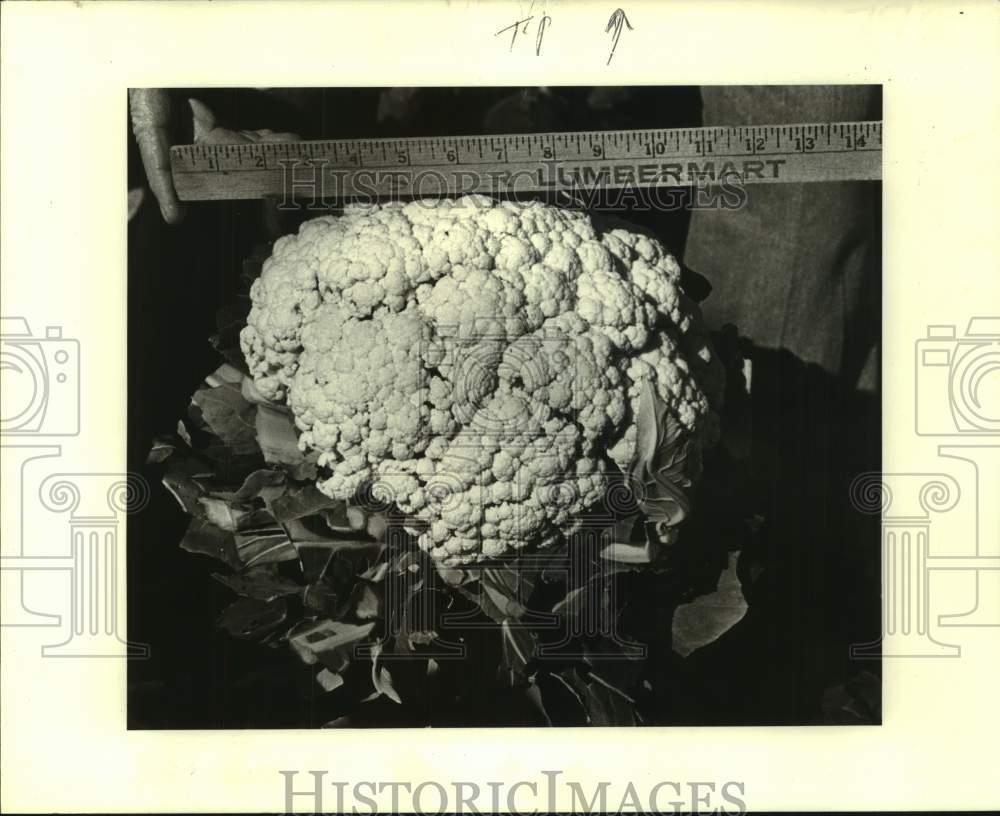 1982 Press Photo Cauliflower Plant - noc12812 | eBay