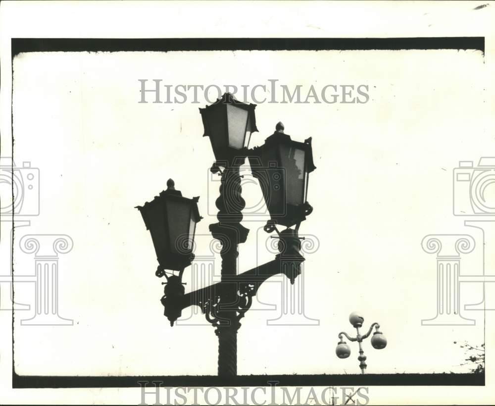Image1