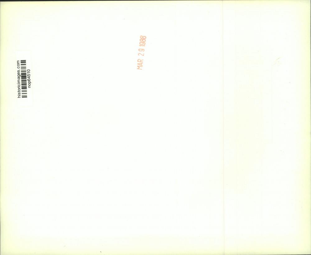 Image2