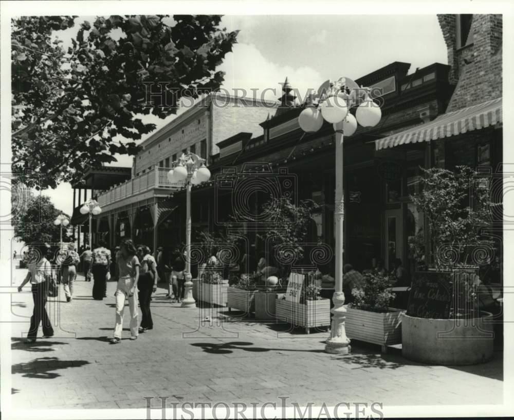 Image2
