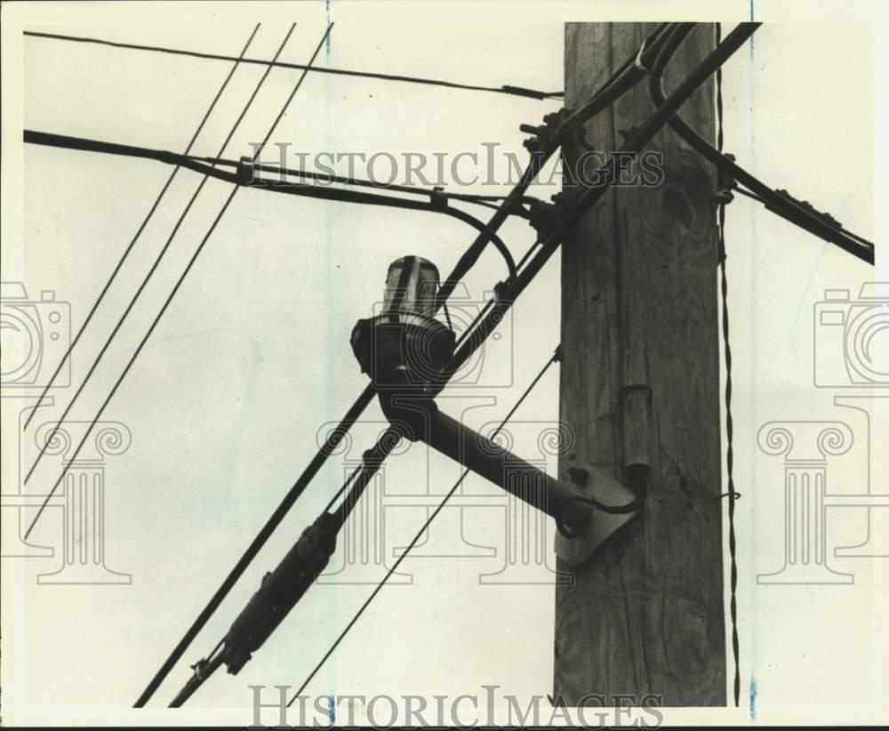 Image1