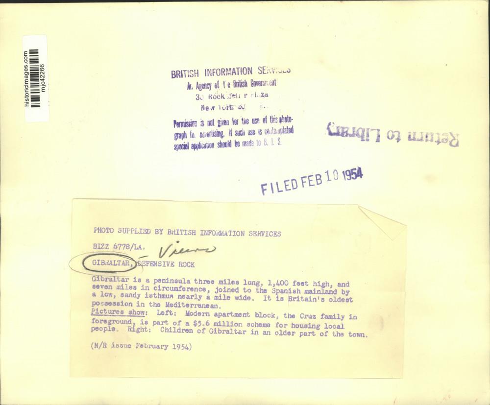 Image2