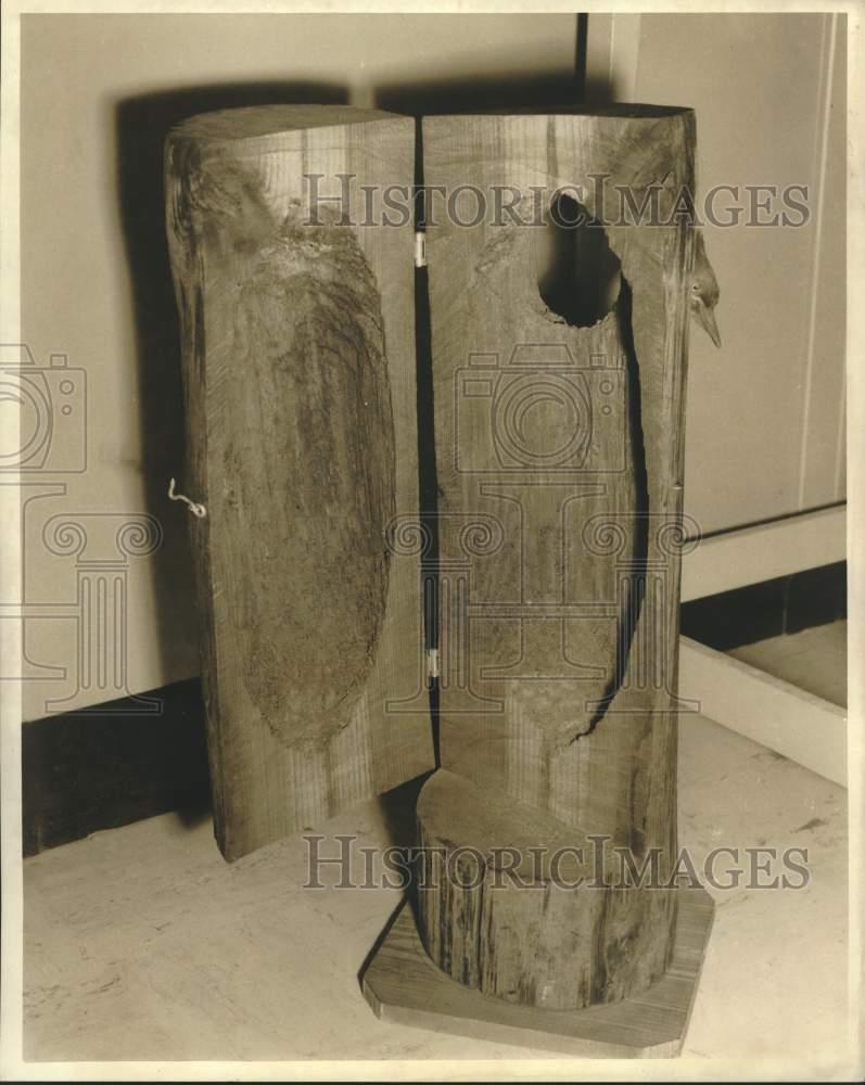 Image1